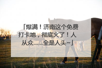 爆满！济南这个免费打卡地，彻底火了！人从众……全是人头~