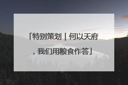 特别策划｜何以天府，我们用粮食作答
