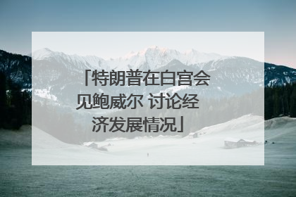 特朗普在白宫会见鲍威尔 讨论经济发展情况