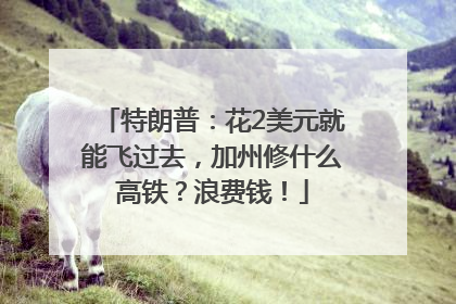 特朗普：花2美元就能飞过去，加州修什么高铁？浪费钱！