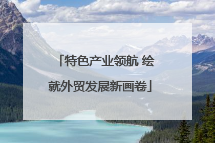 特色产业领航 绘就外贸发展新画卷