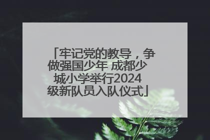 牢记党的教导，争做强国少年 成都少城小学举行2024级新队员入队仪式