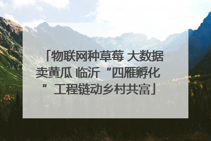 物联网种草莓 大数据卖黄瓜 临沂“四雁孵化”工程链动乡村共富