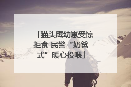 猫头鹰幼崽受惊拒食 民警“奶爸式”暖心投喂
