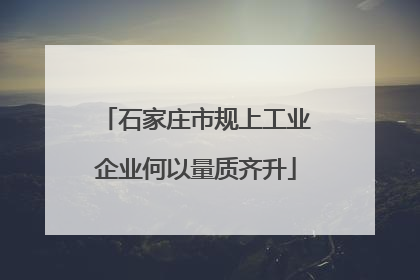 石家庄市规上工业企业何以量质齐升