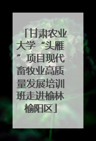甘肃农业大学“头雁”项目现代畜牧业高质量发展培训班走进榆林榆阳区