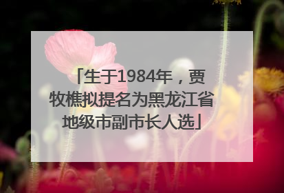生于1984年，贾牧樵拟提名为黑龙江省地级市副市长人选
