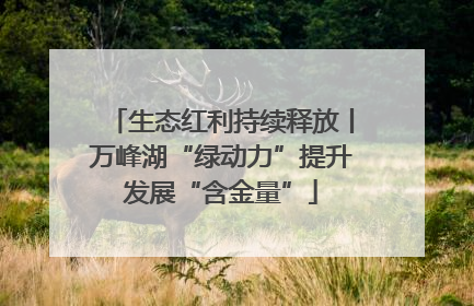 生态红利持续释放丨万峰湖“绿动力”提升发展“含金量”
