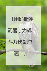 用好批评武器，为战斗力建设增速！