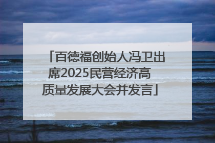 百德福创始人冯卫出席2025民营经济高质量发展大会并发言