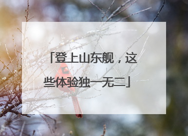 登上山东舰，这些体验独一无二