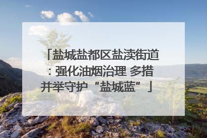 盐城盐都区盐渎街道：强化油烟治理 多措并举守护“盐城蓝”