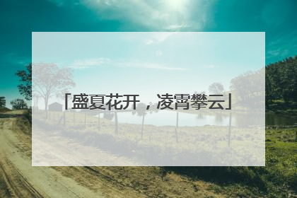 盛夏花开，凌霄攀云