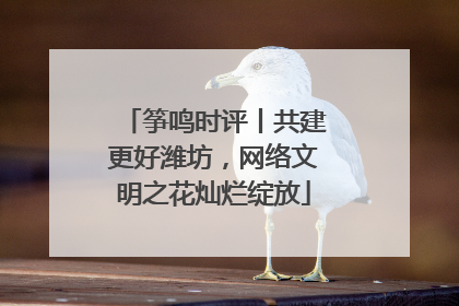 筝鸣时评丨共建更好潍坊，网络文明之花灿烂绽放