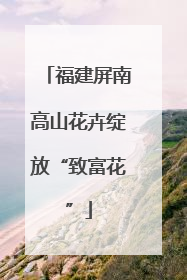 福建屏南高山花卉绽放“致富花”