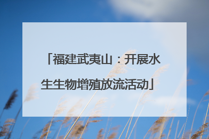福建武夷山：开展水生生物增殖放流活动