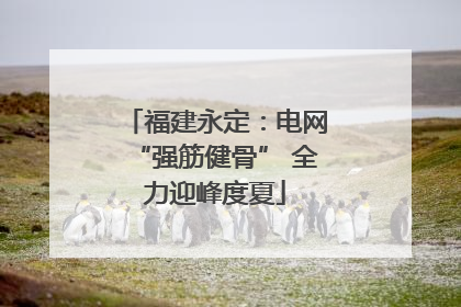 福建永定:电网“强筋健骨” 全力迎峰度夏