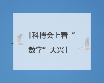 科博会上看“数字”大兴