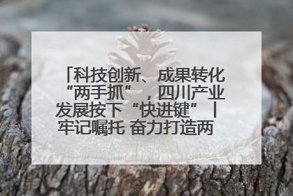 科技创新、成果转化“两手抓”，四川产业发展按下“快进键”丨牢记嘱托 奋力打造两高地两基地一屏障