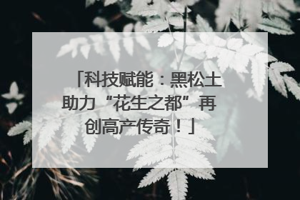 科技赋能：黑松土助力“花生之都”再创高产传奇！