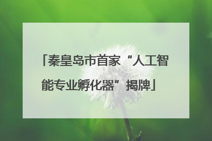 秦皇岛市首家“人工智能专业孵化器”揭牌