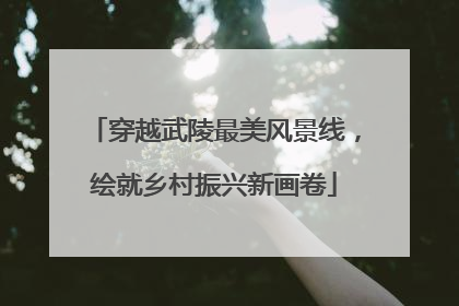 穿越武陵最美风景线，绘就乡村振兴新画卷