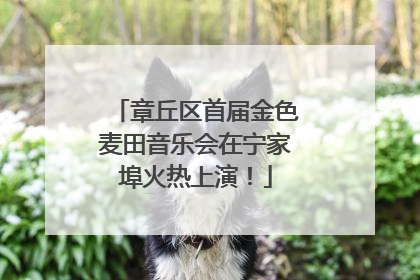 章丘区首届金色麦田音乐会在宁家埠火热上演！