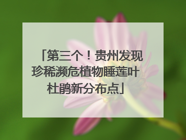 第三个！贵州发现珍稀濒危植物睡莲叶杜鹃新分布点
