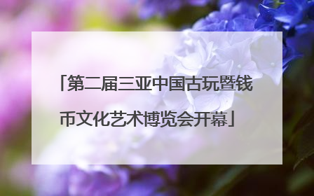 第二届三亚中国古玩暨钱币文化艺术博览会开幕