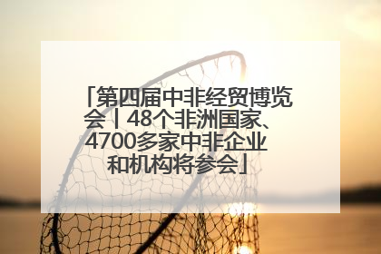 第四届中非经贸博览会丨48个非洲国家、4700多家中非企业和机构将参会