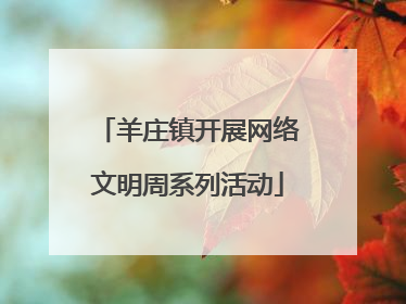 羊庄镇开展网络文明周系列活动