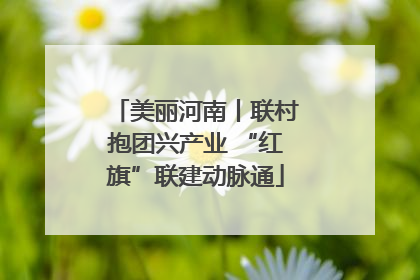 美丽河南丨联村抱团兴产业 “红旗”联建动脉通