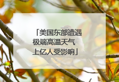 美国东部遭遇极端高温天气 上亿人受影响