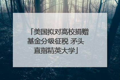 美国拟对高校捐赠基金分级征税 矛头直指精英大学
