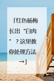 红色杨梅长出“白肉”？这里教你处理方法→