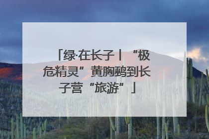 绿·在长子丨“极危精灵”黄胸鹀到长子营“旅游”