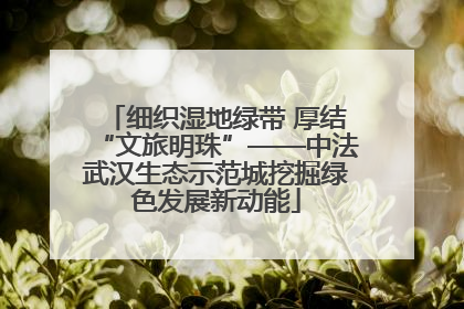 细织湿地绿带 厚结“文旅明珠”——中法武汉生态示范城挖掘绿色发展新动能