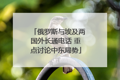 俄罗斯与埃及两国外长通电话 重点讨论中东局势