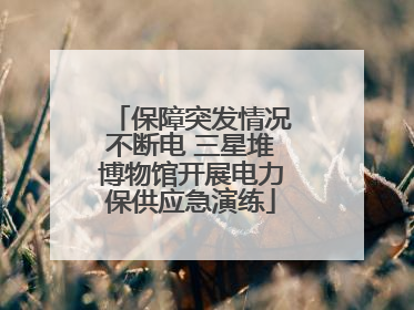 保障突发情况不断电 三星堆博物馆开展电力保供应急演练