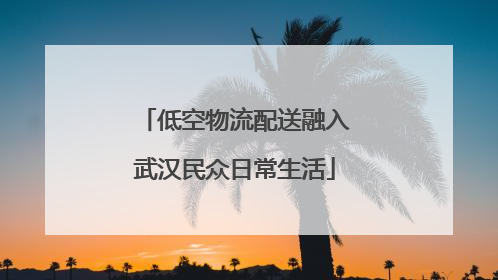 低空物流配送融入武汉民众日常生活