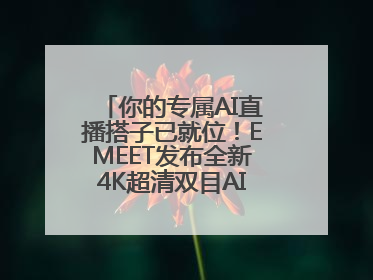 你的专属AI直播搭子已就位！EMEET发布全新4K超清双目AI智能云台摄像头