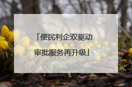 便民利企双驱动 审批服务再升级