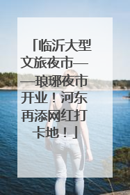 临沂大型文旅夜市——琅琊夜市开业！河东再添网红打卡地！