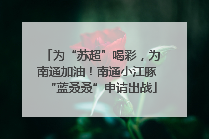 为“苏超”喝彩，为南通加油！南通小江豚“蓝叒叒”申请出战