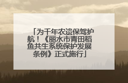 为千年农遗保驾护航！《丽水市青田稻鱼共生系统保护发展条例》正式施行