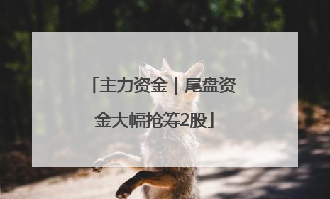 主力资金｜尾盘资金大幅抢筹2股