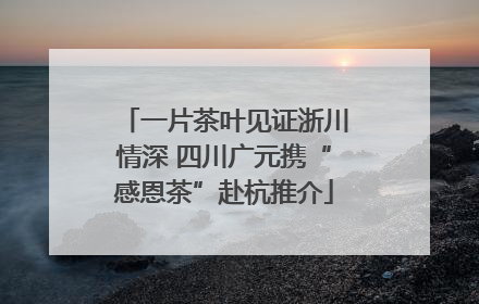 一片茶叶见证浙川情深 四川广元携“感恩茶”赴杭推介