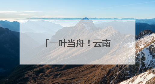 一叶当舟！云南这种神奇植物进入最佳观赏期