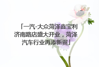 一汽-大众菏泽鑫宝利济南路店盛大开业，菏泽汽车行业再添新翼