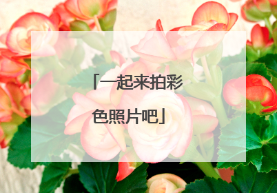 一起来拍彩色照片吧